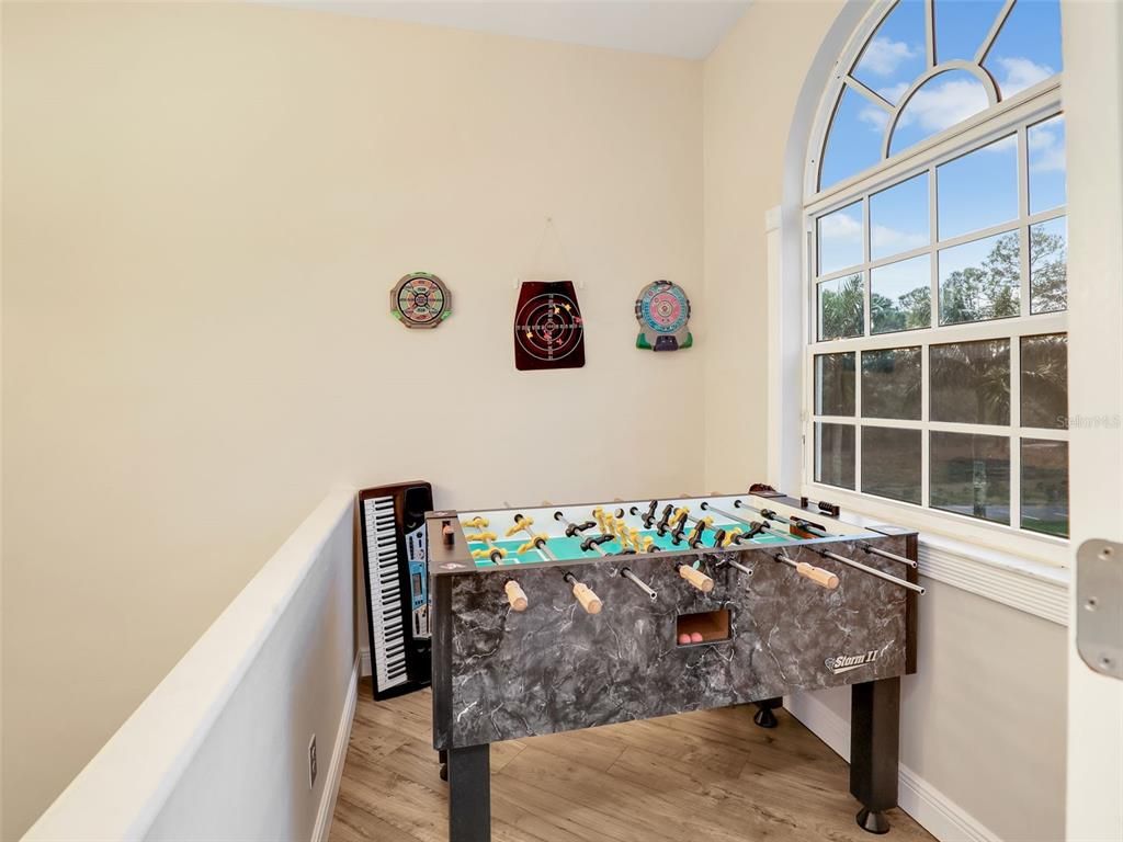 Game Room, Interior, Wood Texture Flooring