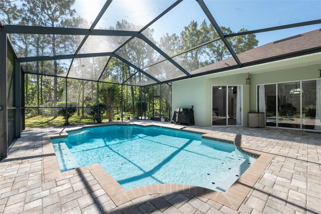 Glass Ceilings, Interior, Pool, Sun Room