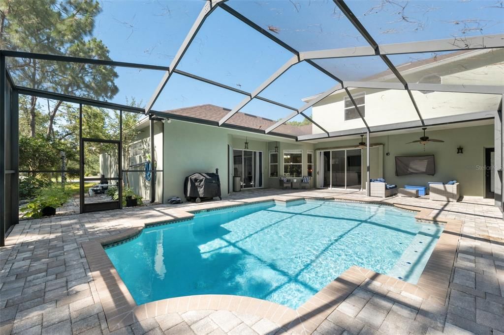 Glass Ceilings, Interior, Pool, Sun Room