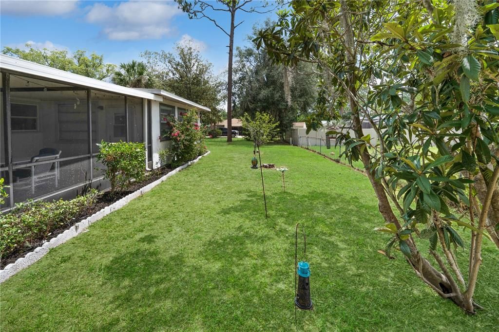 Backyard, Exterior