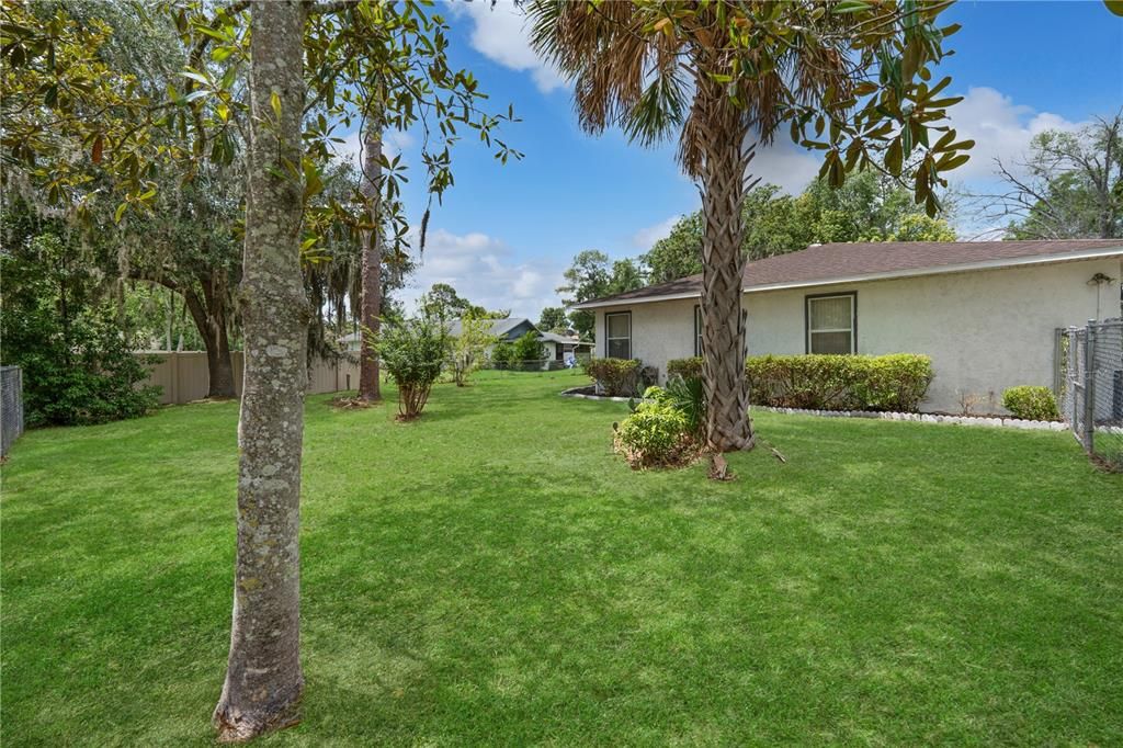 Backyard, Exterior