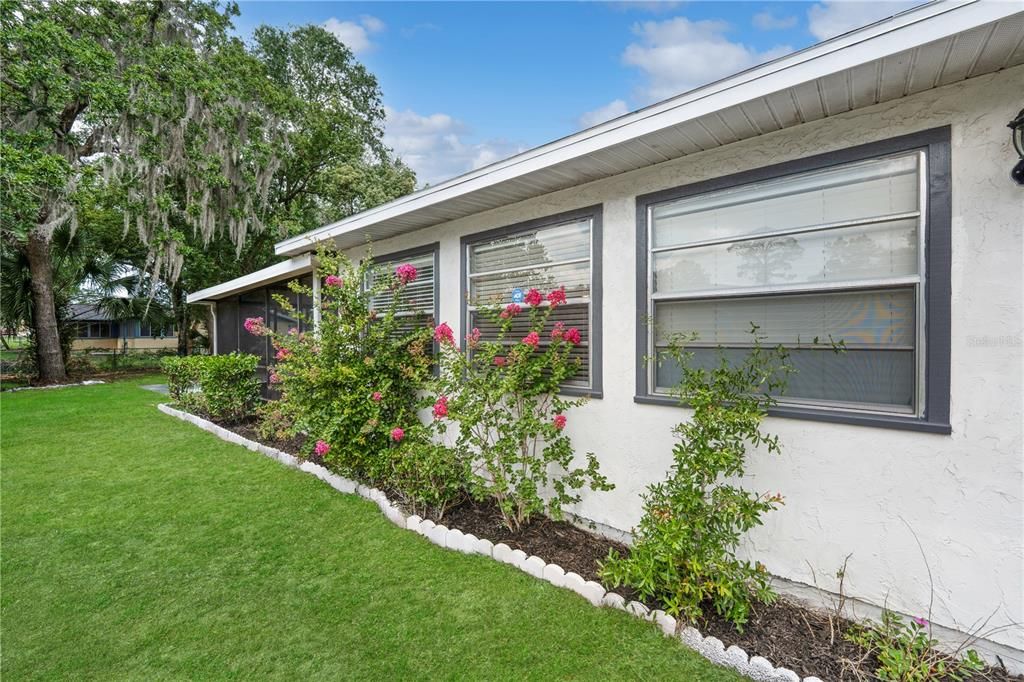 Backyard, Exterior