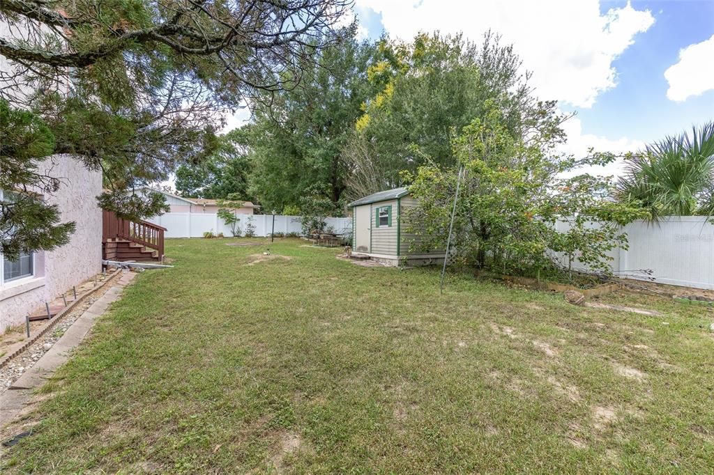 Backyard, Exterior