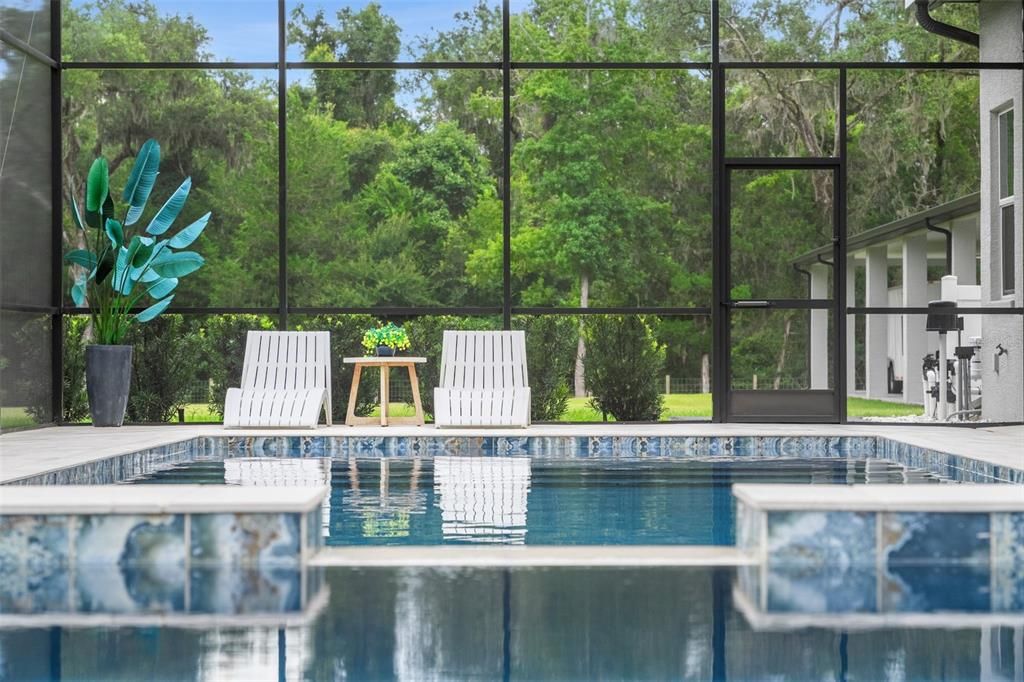 Interior, Pool, Sun Room