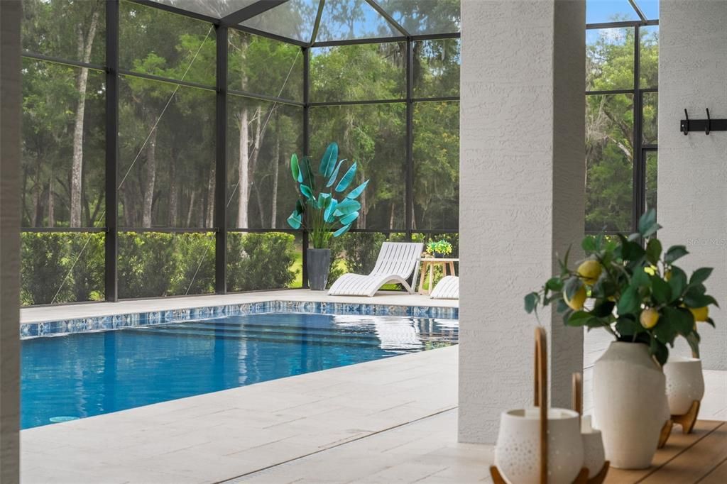Glass Ceilings, Interior, Pool, Sun Room