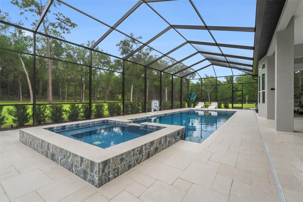 Glass Ceilings, Interior, Pool, Sun Room