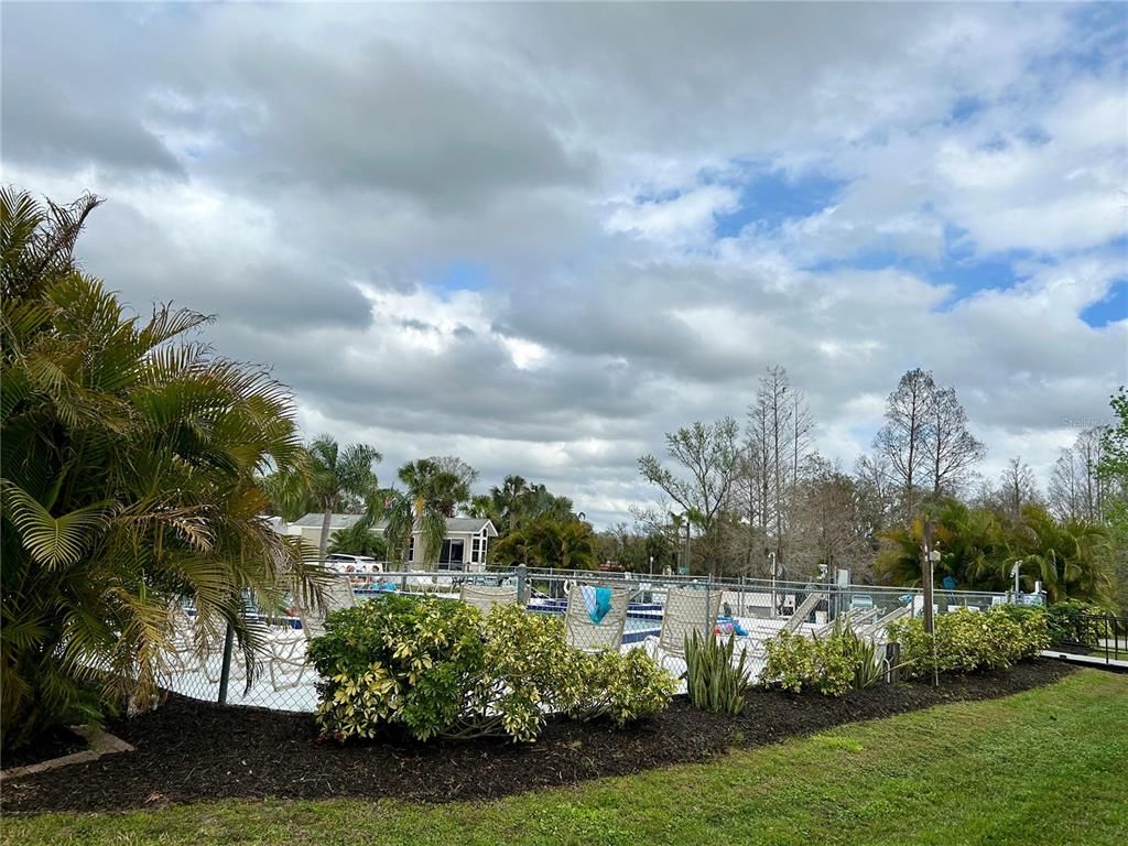 Backyard, Exterior, Pool