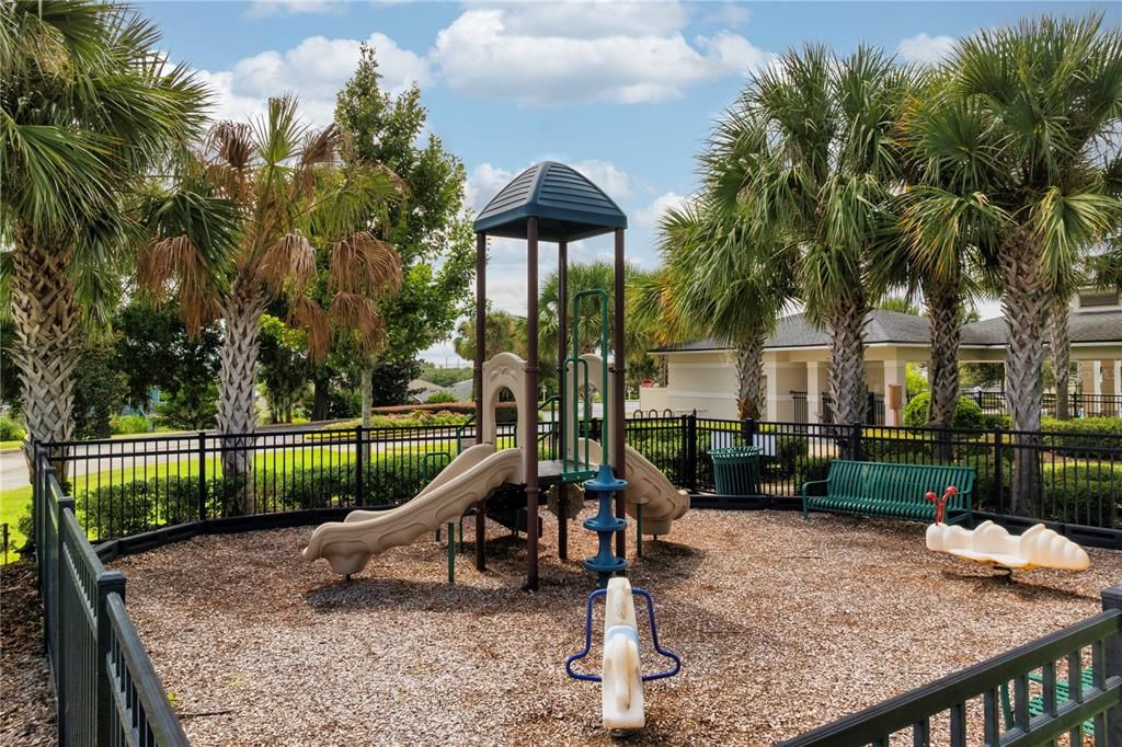 Backyard, Exterior, Playground
