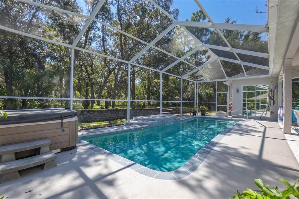 Glass Ceilings, Hot Tub, Interior, Pool, Sun Room