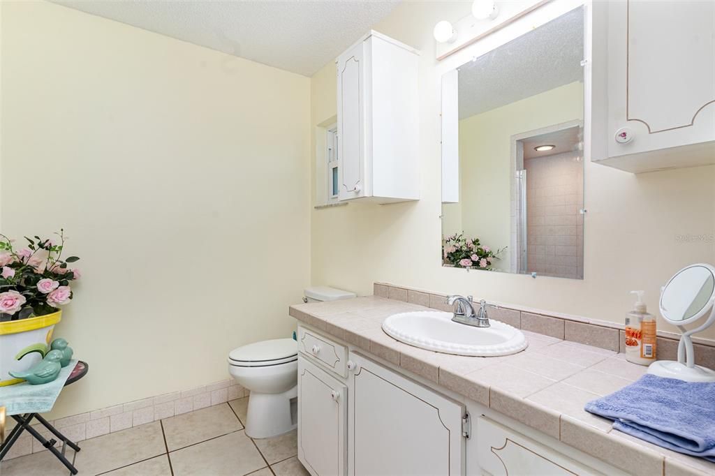 Bathroom, Interior, Tile Countertops