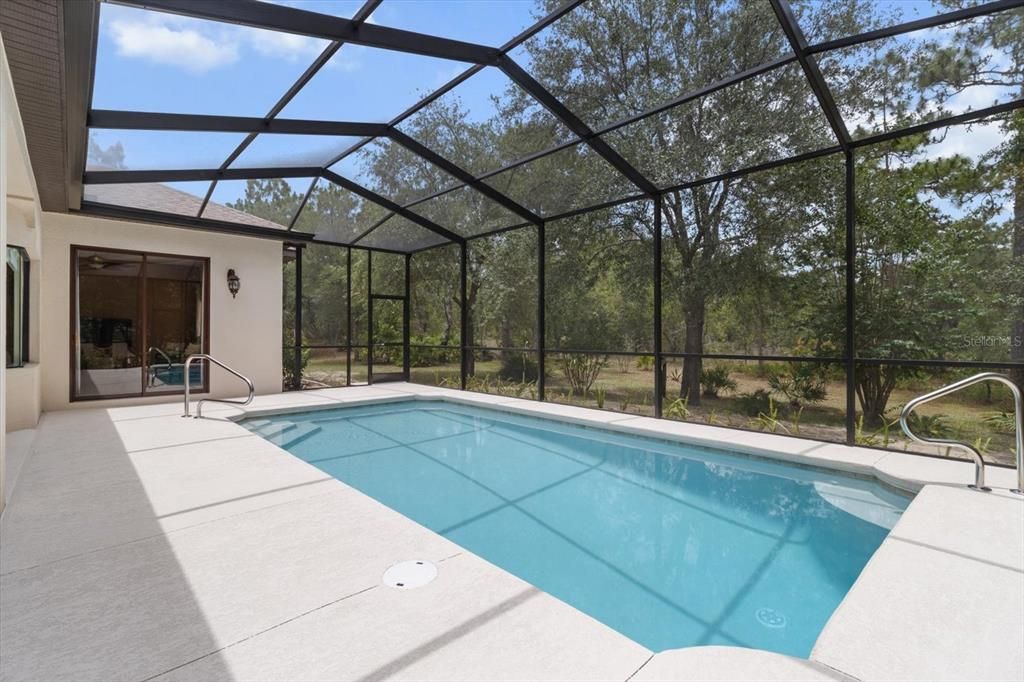 Glass Ceilings, Interior, Pool, Sun Room