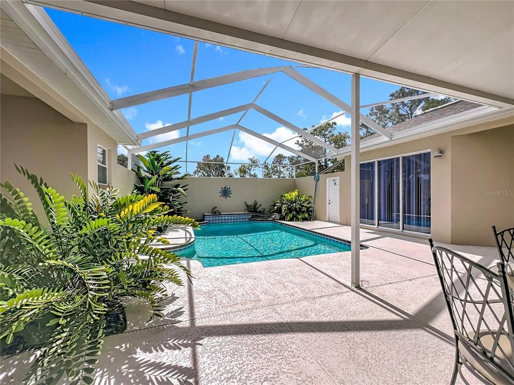 Glass Ceilings, Interior, Pool, Sun Room