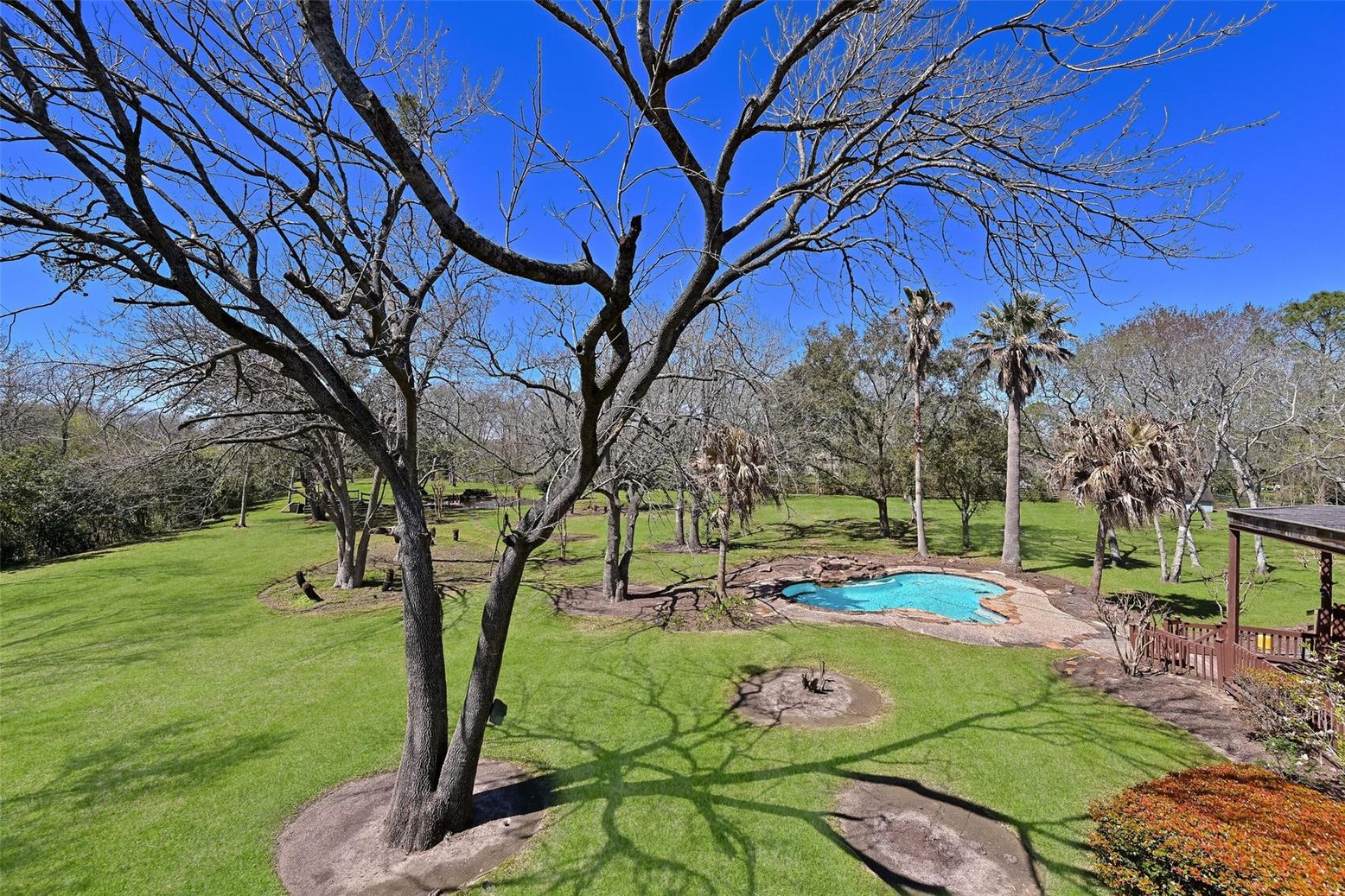 Backyard, Exterior, Pool