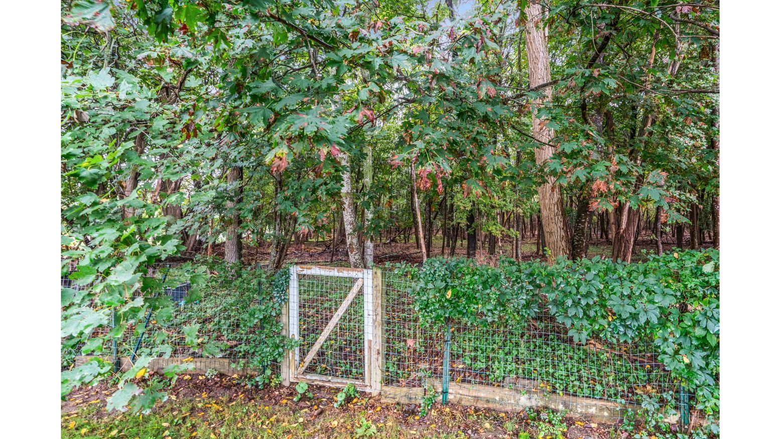 DE Listing image placeholder