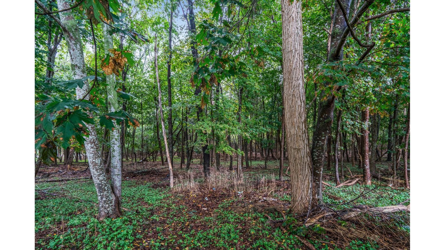 DE Listing image placeholder