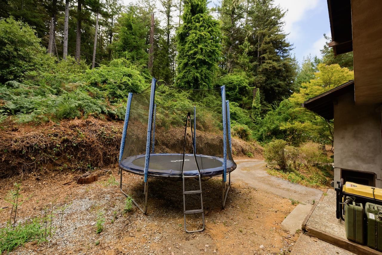 Backyard, Exterior, Playground