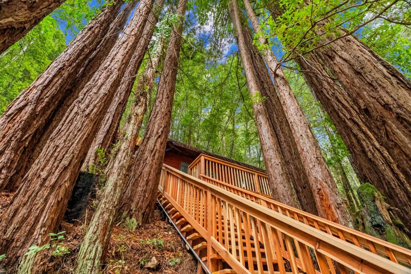 DE Listing image placeholder