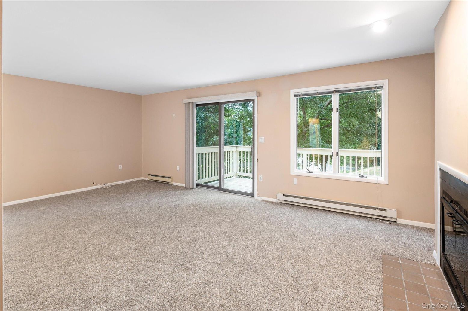 Empty room, Fireplace, Interior