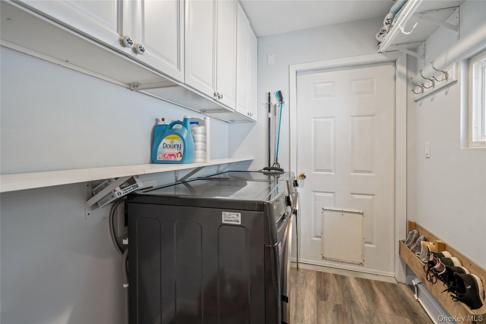 Interior, Washer, Wood Texture Flooring