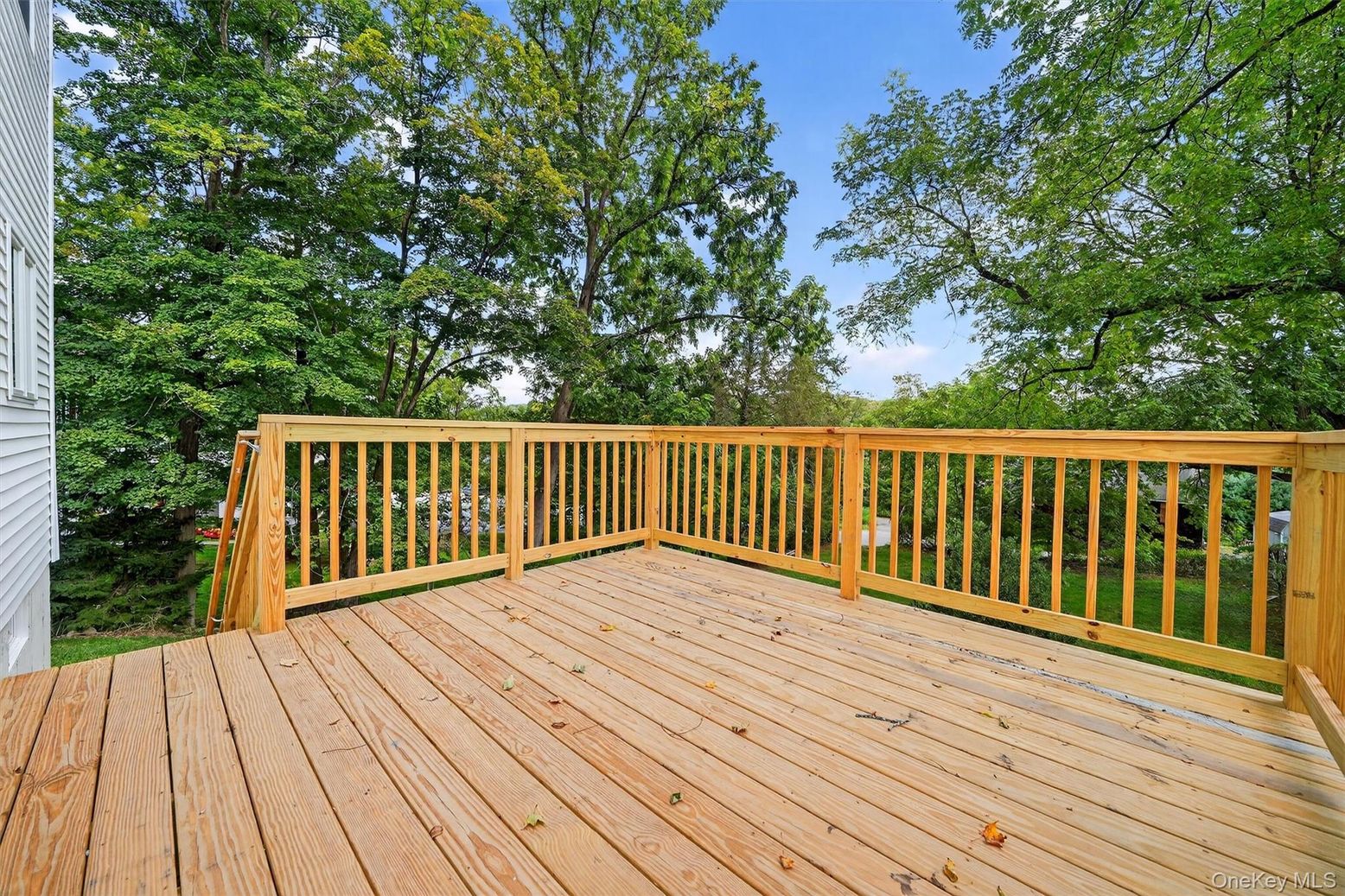 Exterior, Wood Texture Flooring