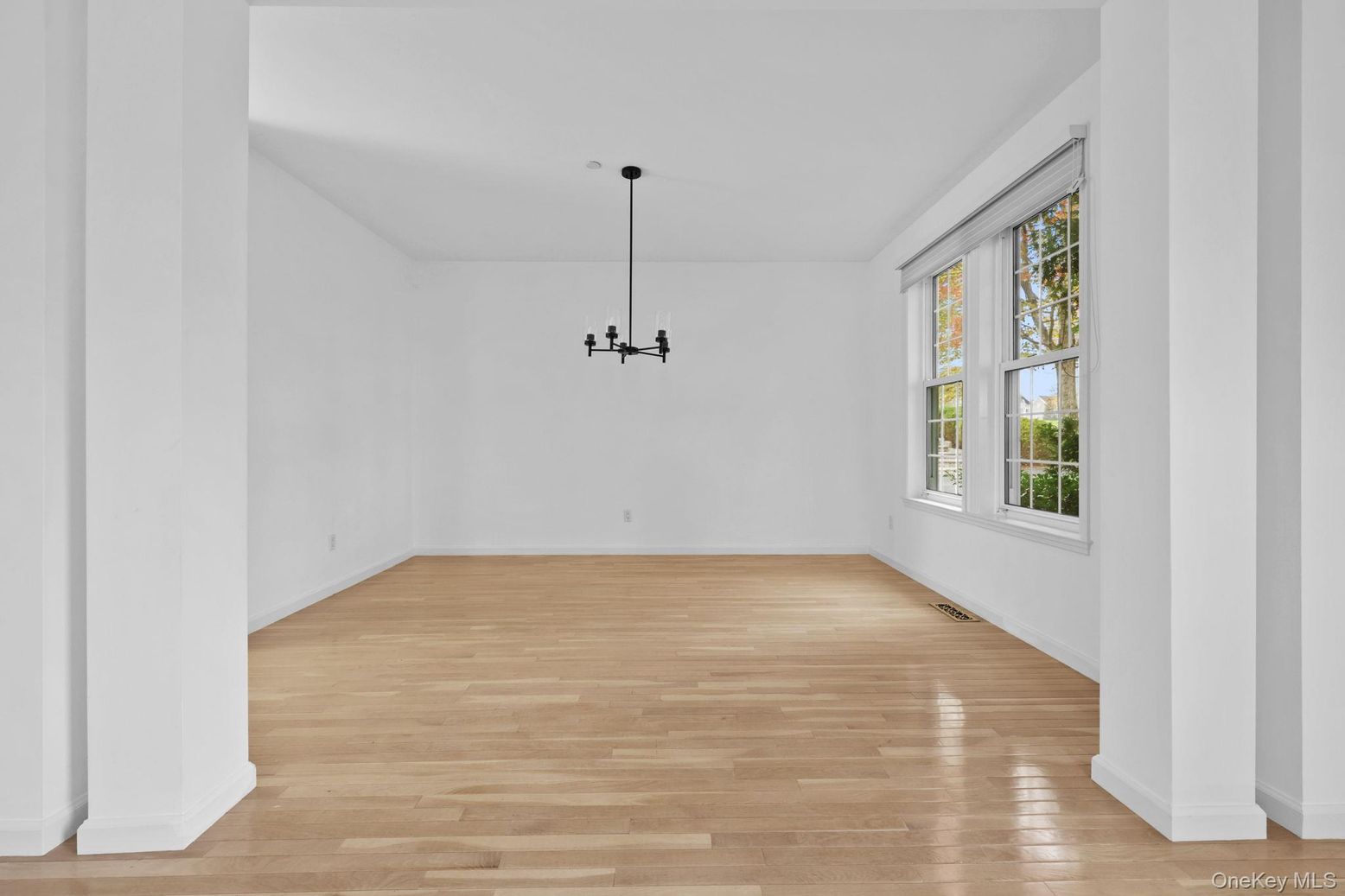 Empty room, Interior, Pendant Lights, Wood Texture Flooring