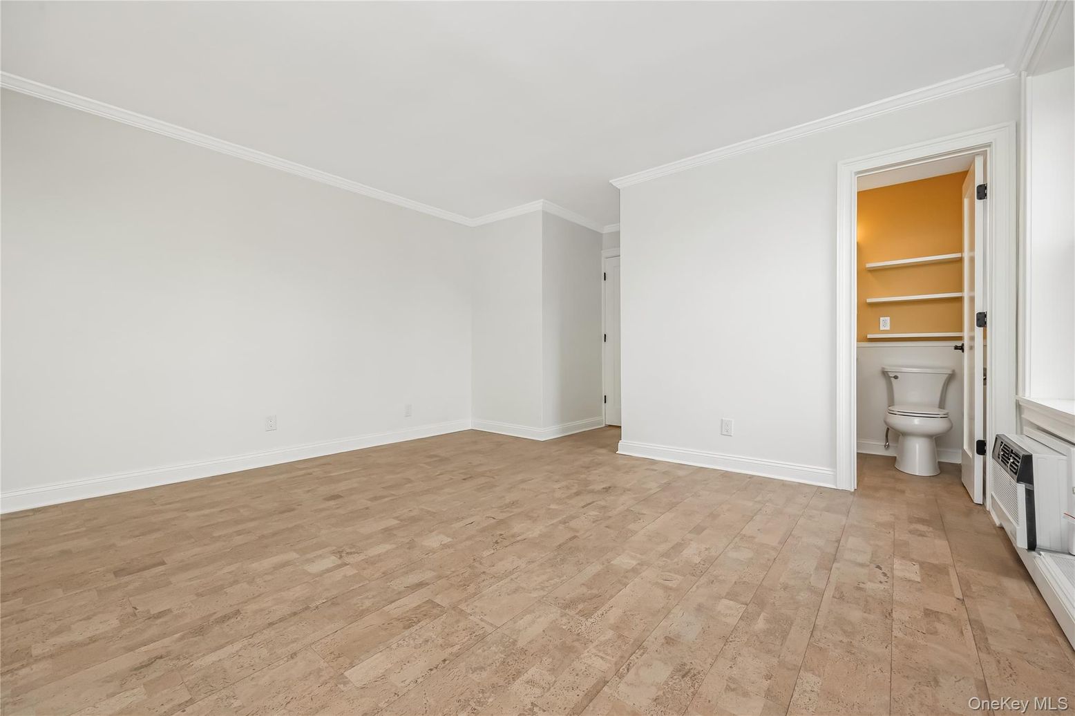 Bathroom, Empty room, Interior, Wood Texture Flooring