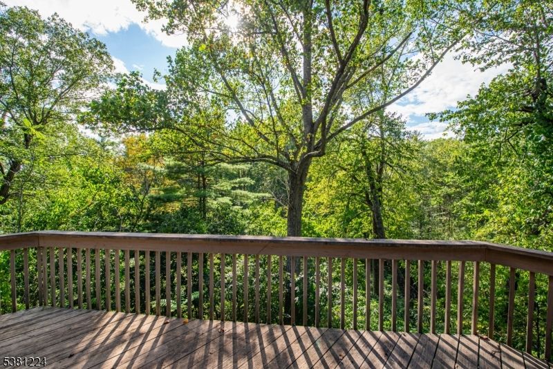 Exterior, Wood Texture Flooring