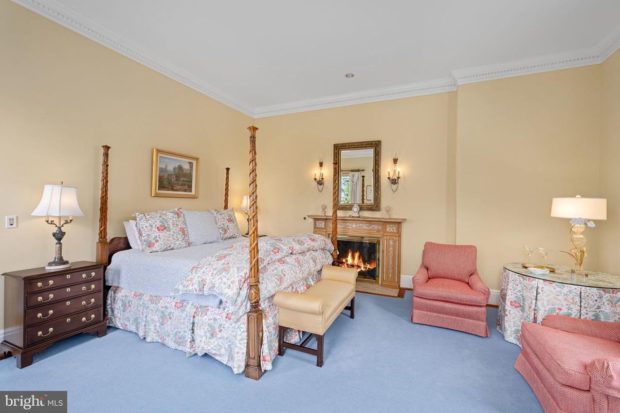 Bedroom, Fireplace, Interior