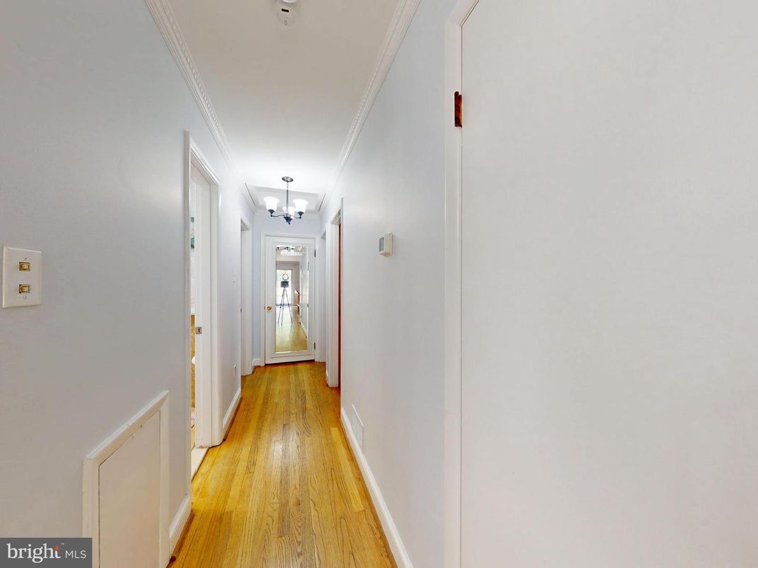 Chandelier, Interior, Wood Texture Flooring