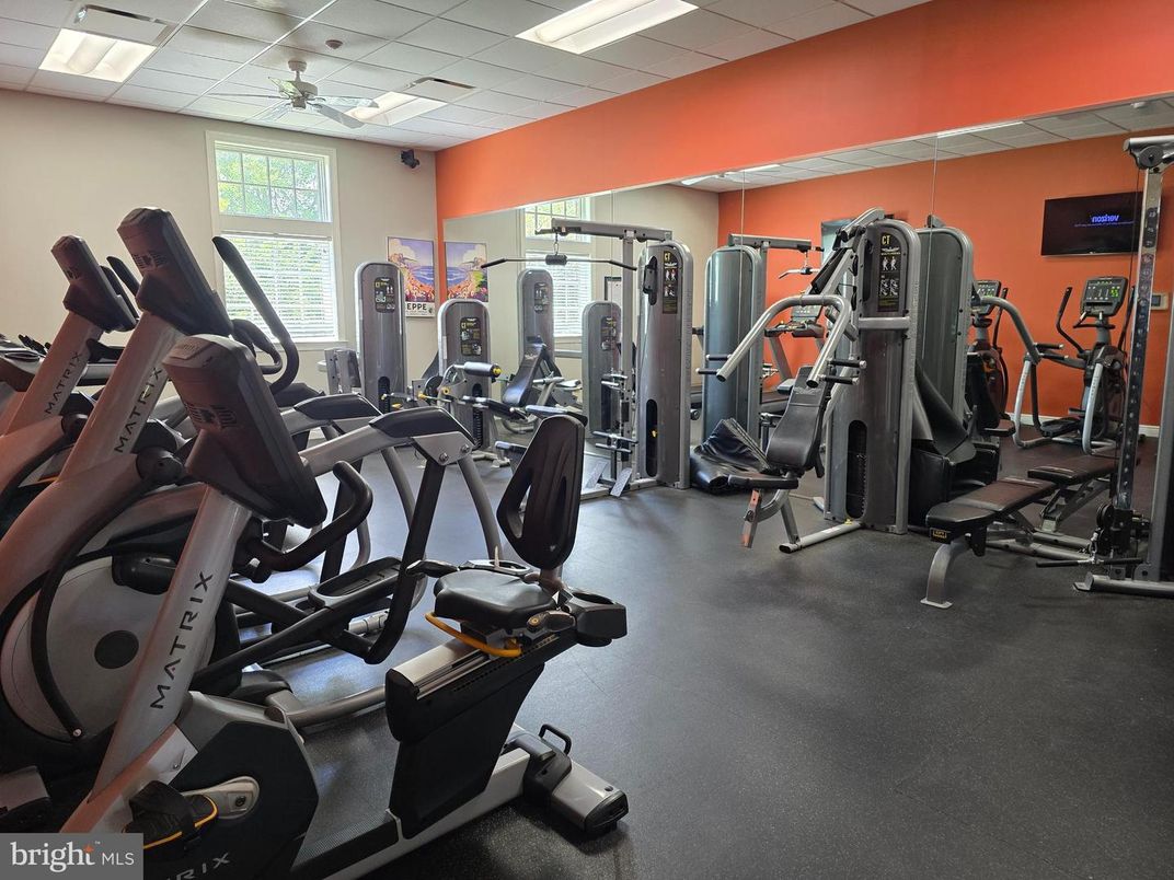 Fitness Equipment, Gym, Interior