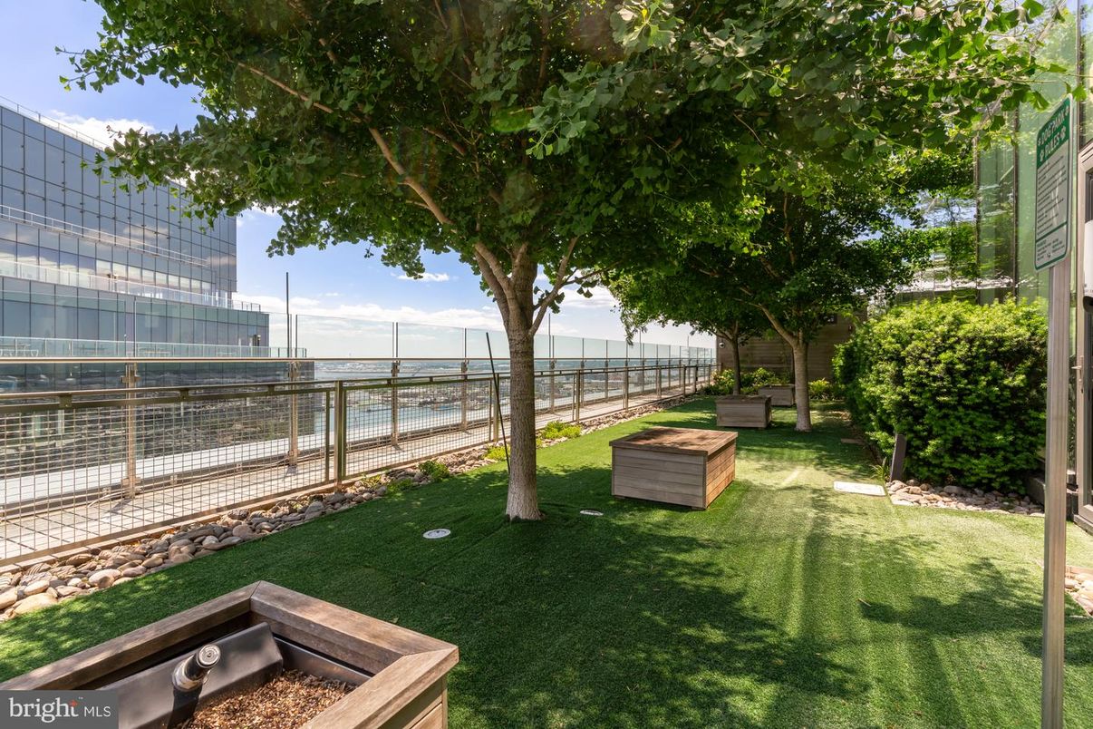 Backyard, Exterior, Water