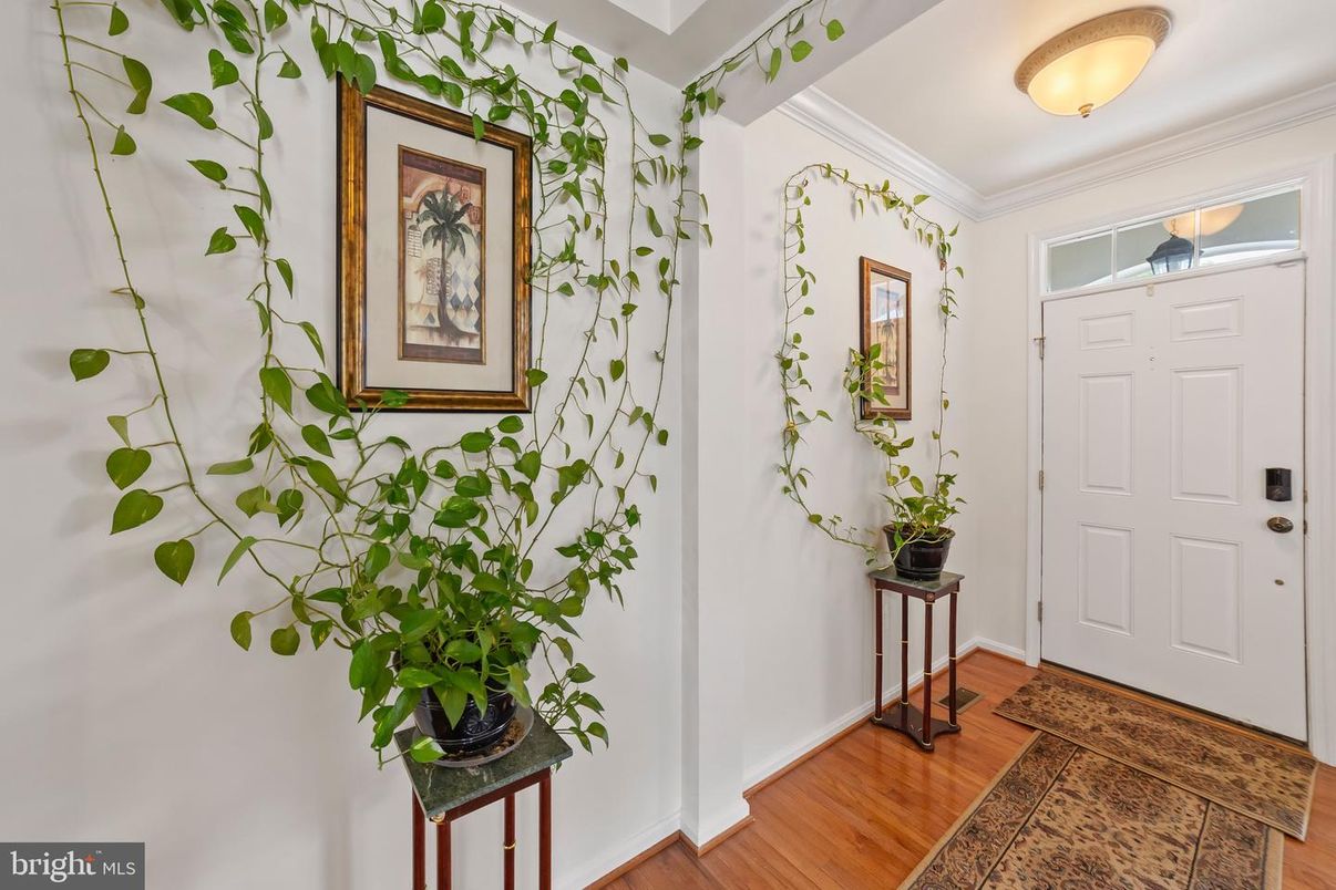 Interior, Wood Texture Flooring
