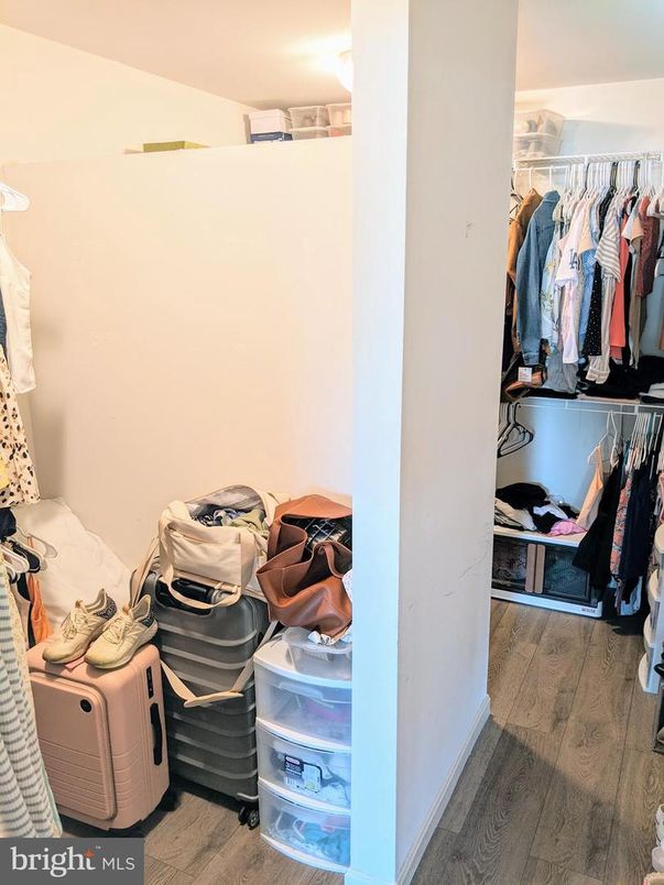 Interior, Walk-in Closets, Wood Texture Flooring