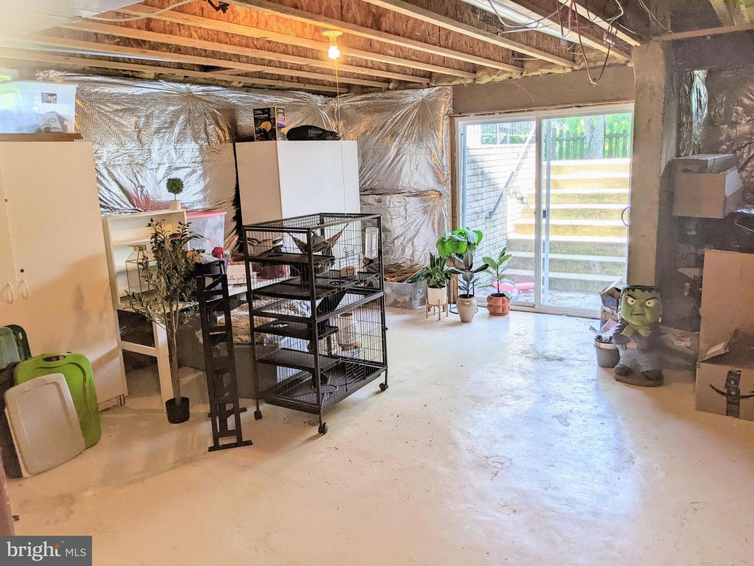 Interior, Wooden Beams