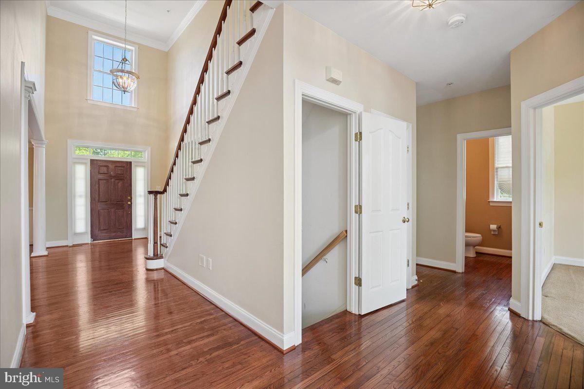 Interior, Pendant Lights, Wood Texture Flooring