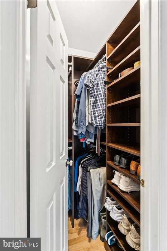 Interior, Walk-in Closets, Wood Texture Flooring
