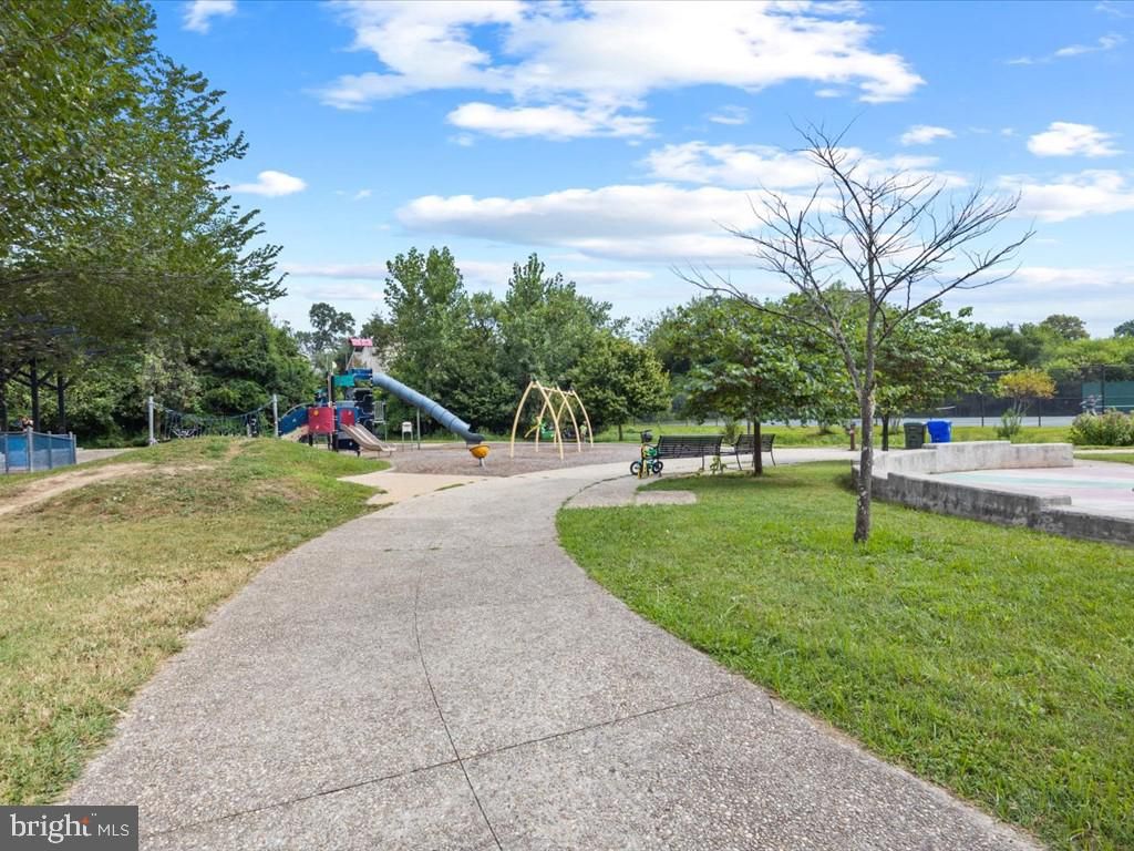 Backyard, Exterior, Playground