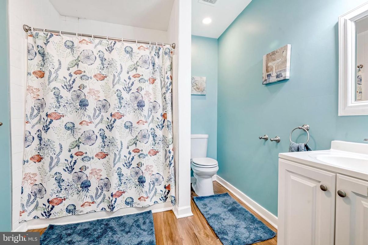 Bathroom, Interior, Recessed Lighting, Wood Texture Flooring