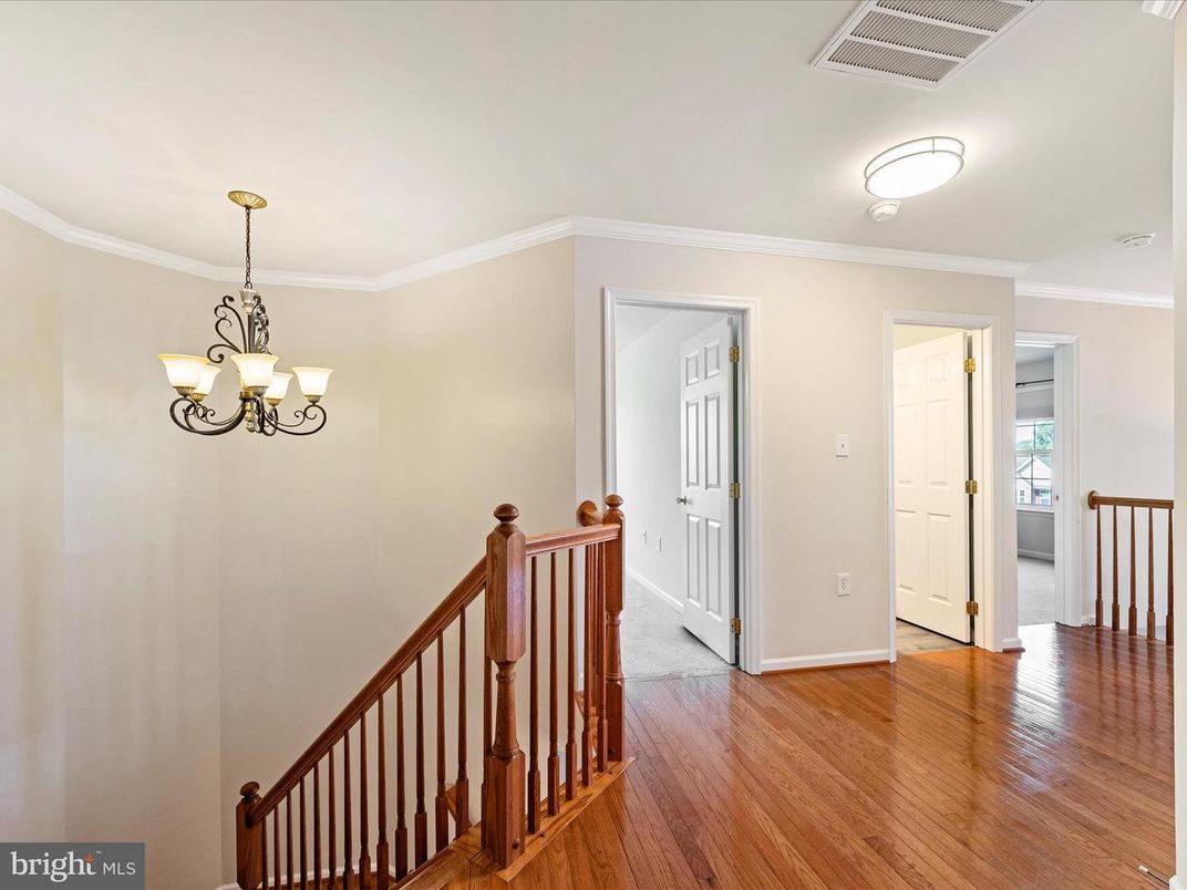 Chandelier, Interior, Wood Texture Flooring