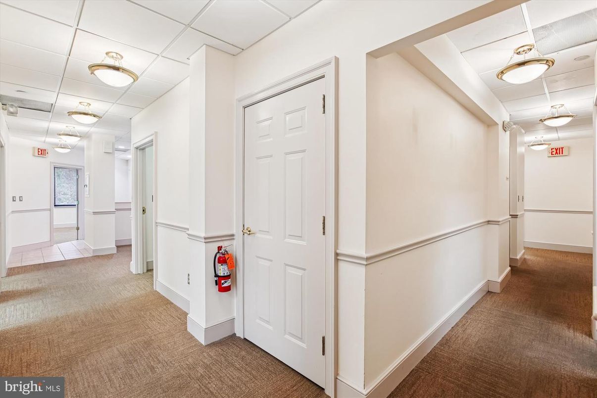 Interior, Pendant Lights