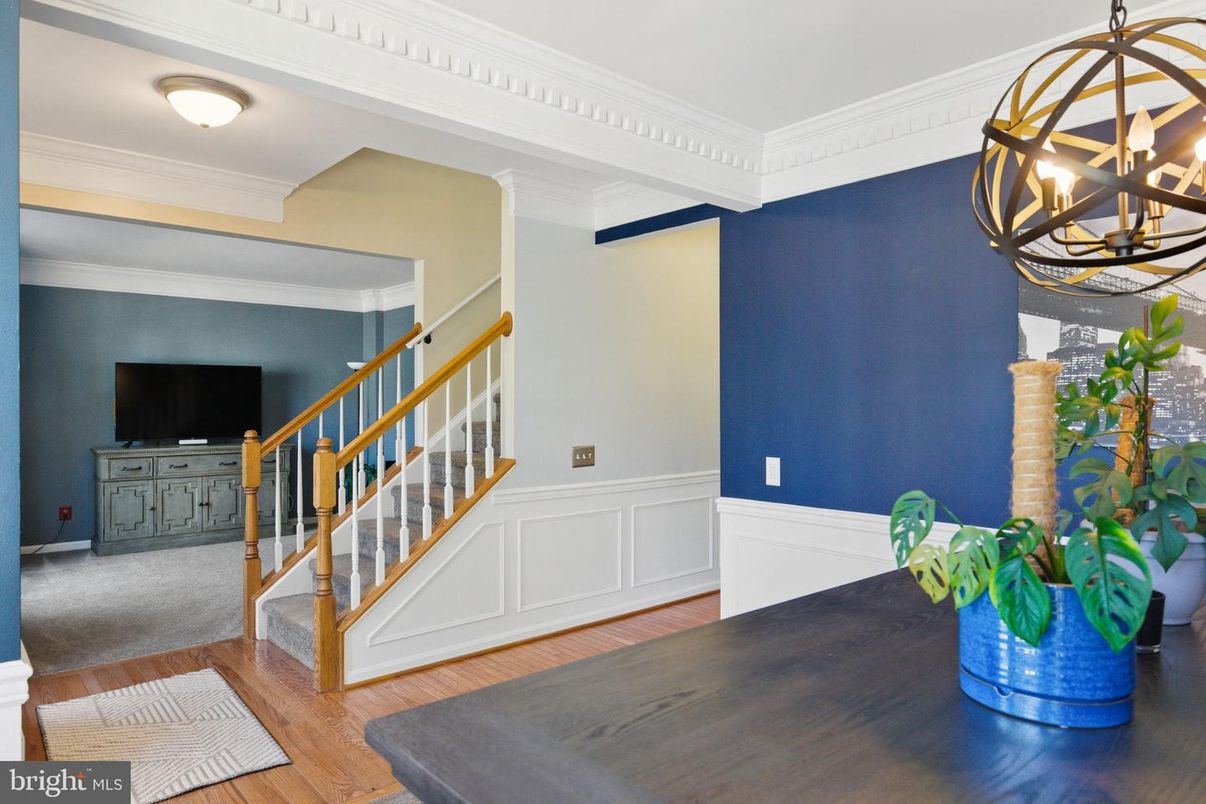 Chandelier, Interior, Wood Texture Flooring