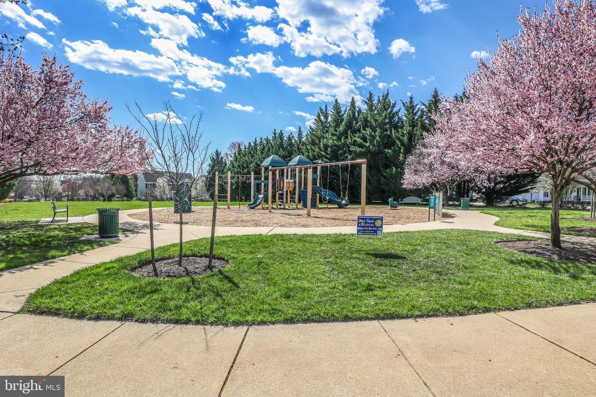 Backyard, Exterior, Playground