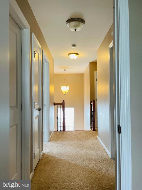 Interior, Pendant Lights