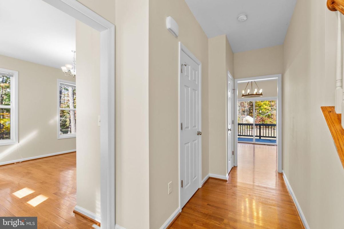 Chandelier, Interior, Wood Texture Flooring