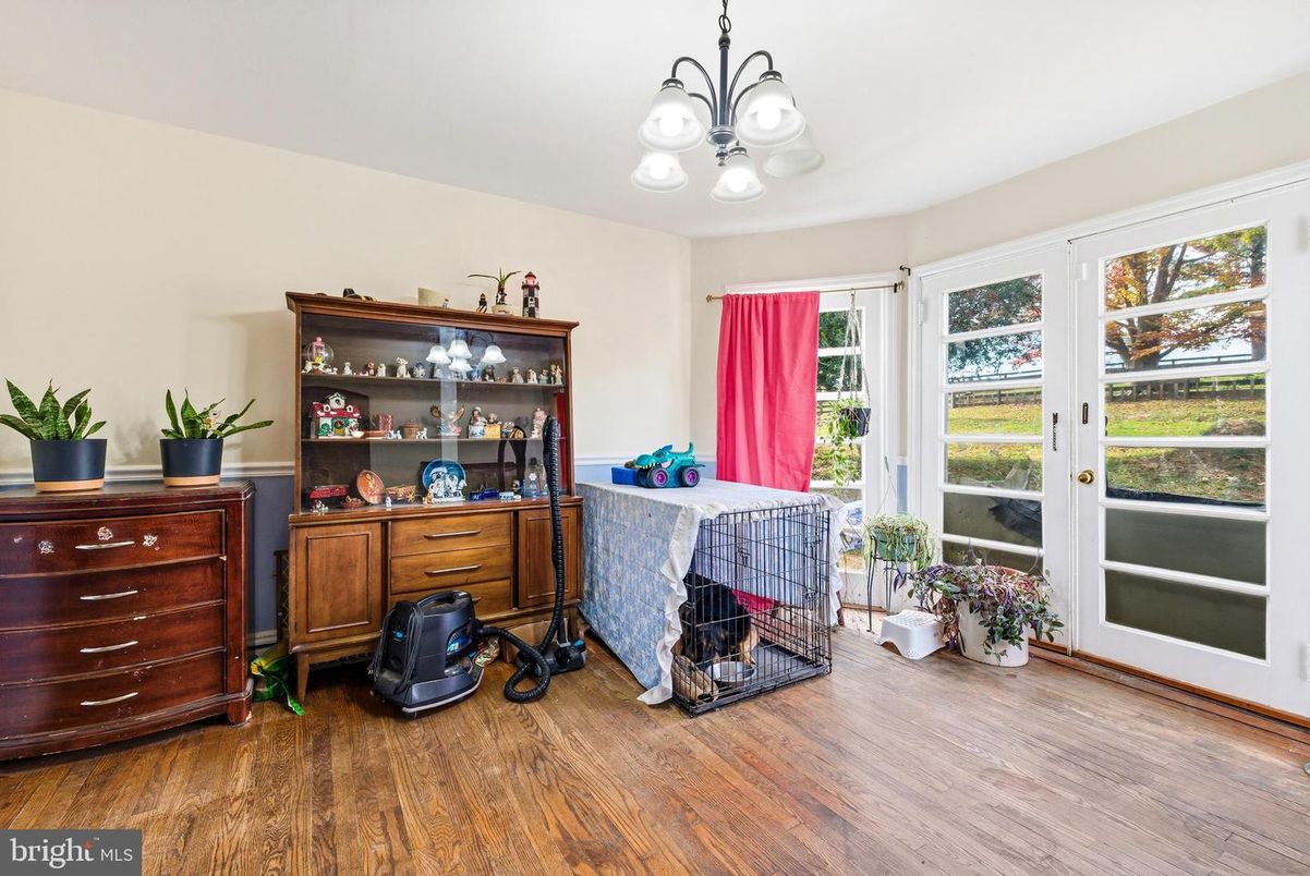 Chandelier, Interior, Wood Texture Flooring