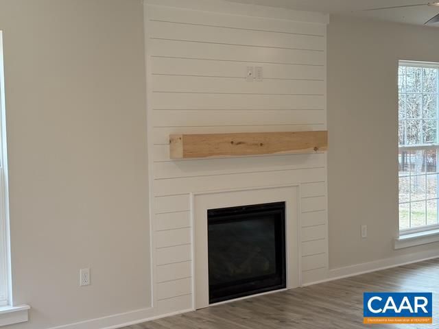 Fireplace, Interior, Wood Texture Flooring