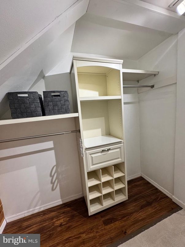 Interior, Walk-in Closets, Wood Texture Flooring