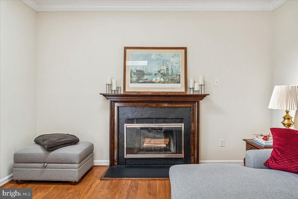 Fireplace, Interior, Wood Texture Flooring