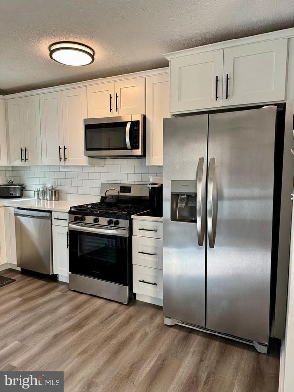Interior, Kitchen, Stainless Steel Appliances, Wood Texture Flooring