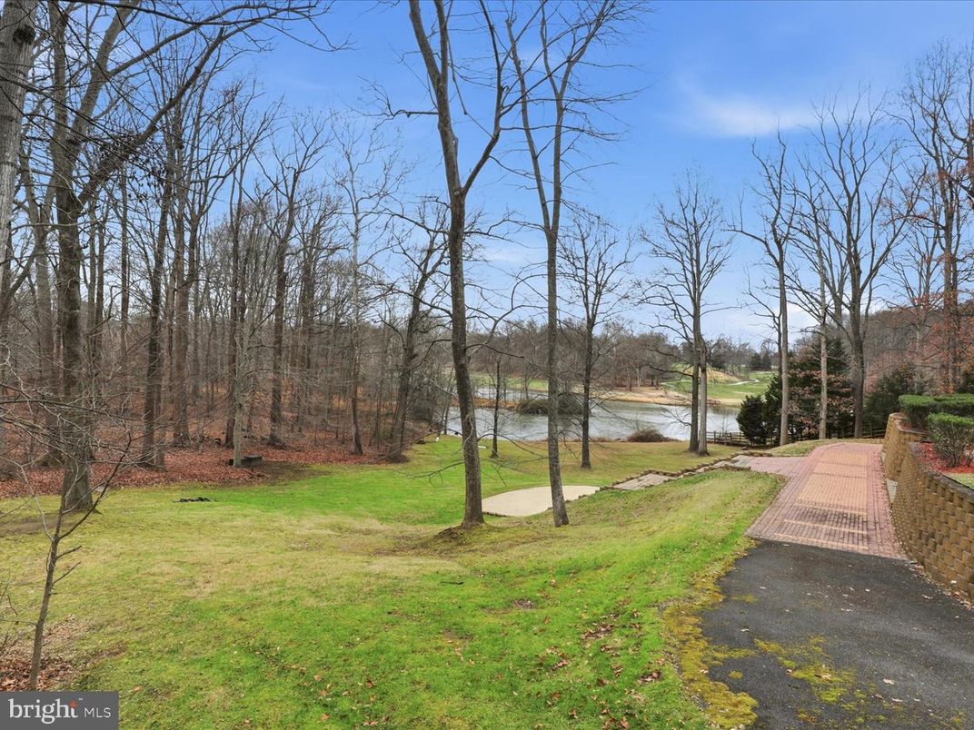 Backyard, Exterior, Water